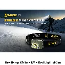 Headlamp White + UV + Red Light 600lm pic 2.webp