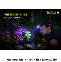 Headlamp White + UV + Red Light 600lm pic 4.webp