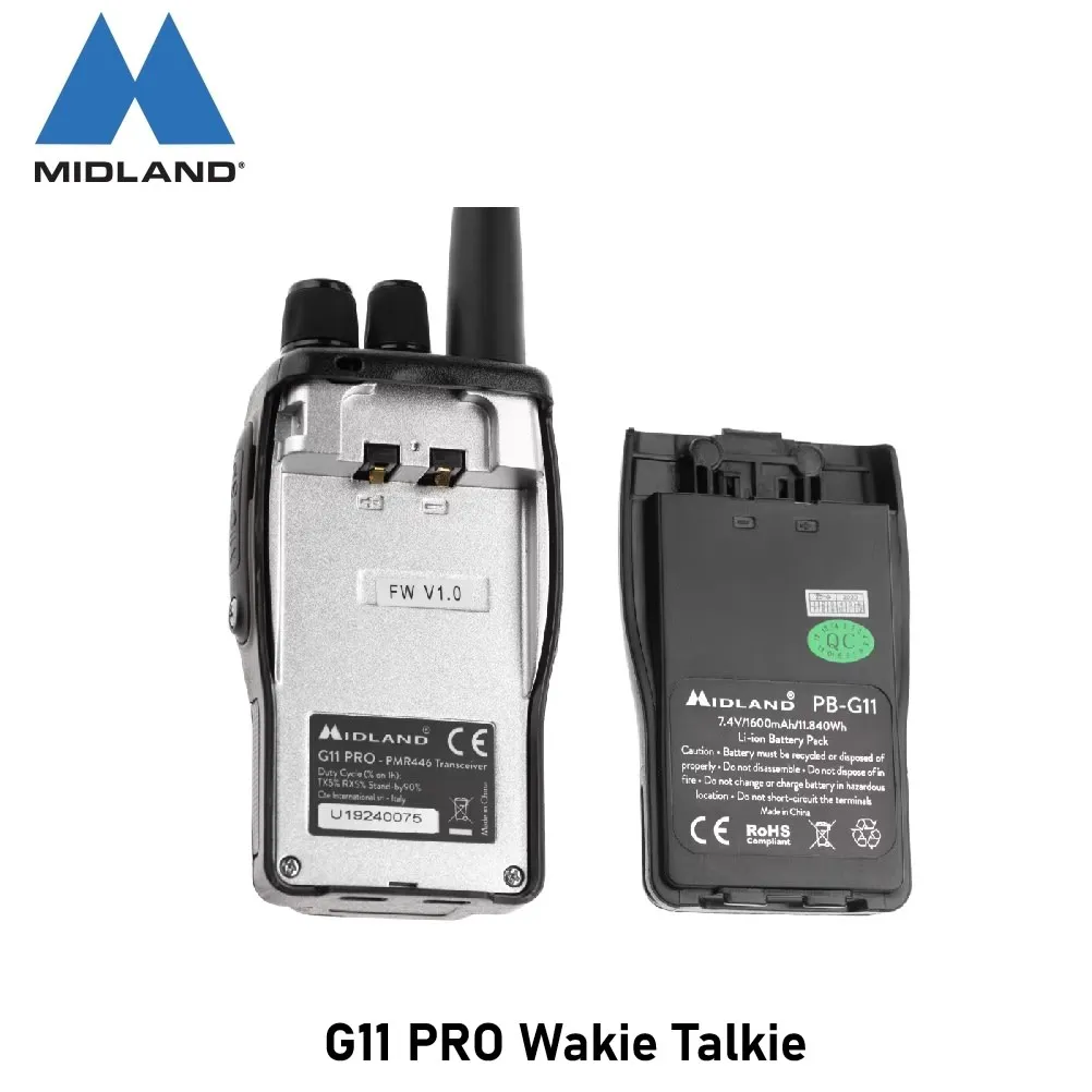 g11 6.webp