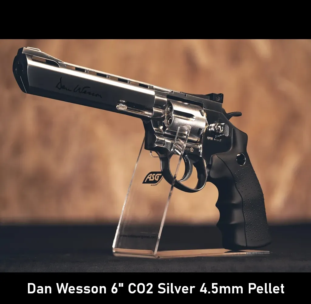 Dan Wesson 6 CO2 Silver 4.5mm Pellet.webp