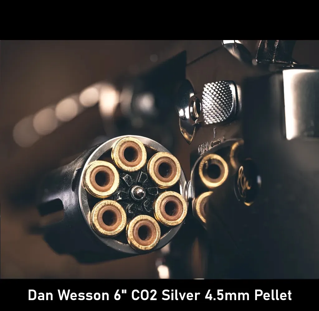 Dan Wesson 6 CO2 Silver 4.5mm Pellet pic 3.webp