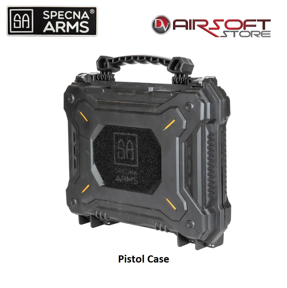 [2100000069767] Pistol Case