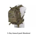 3-Day Assault pack
