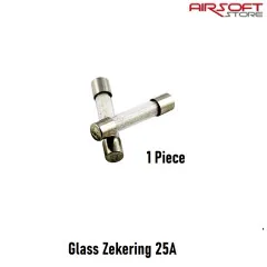 [2100000060030] Glass Zekering 25A